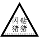 飞天猪gogogo