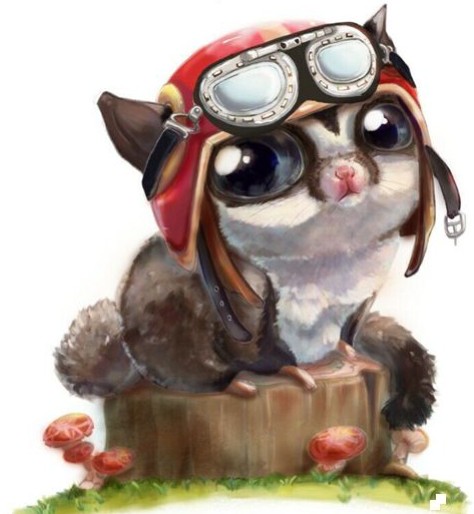 琉璃猪55