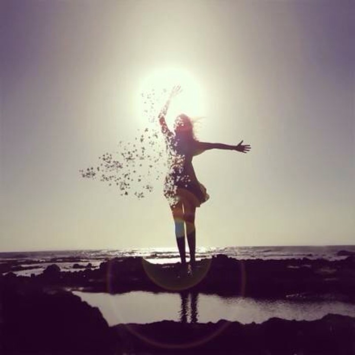 广州至到珠海拱北口岸 澳门一日来回 港澳大巴