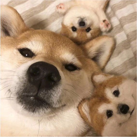 一阵小风吹