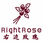 右边玫瑰