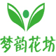 那年夏天四叶草1