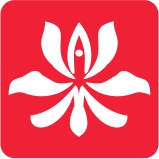 amysport_yoga