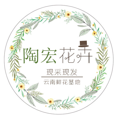 陶宏_蓝天电器生活馆