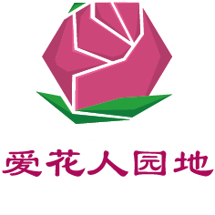 往事如烟回首梦已远