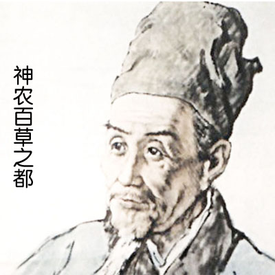 zhengdi15856258621