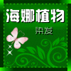 海娜粉特卖