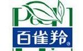 颜文思颜