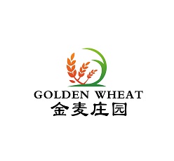 侯露露629