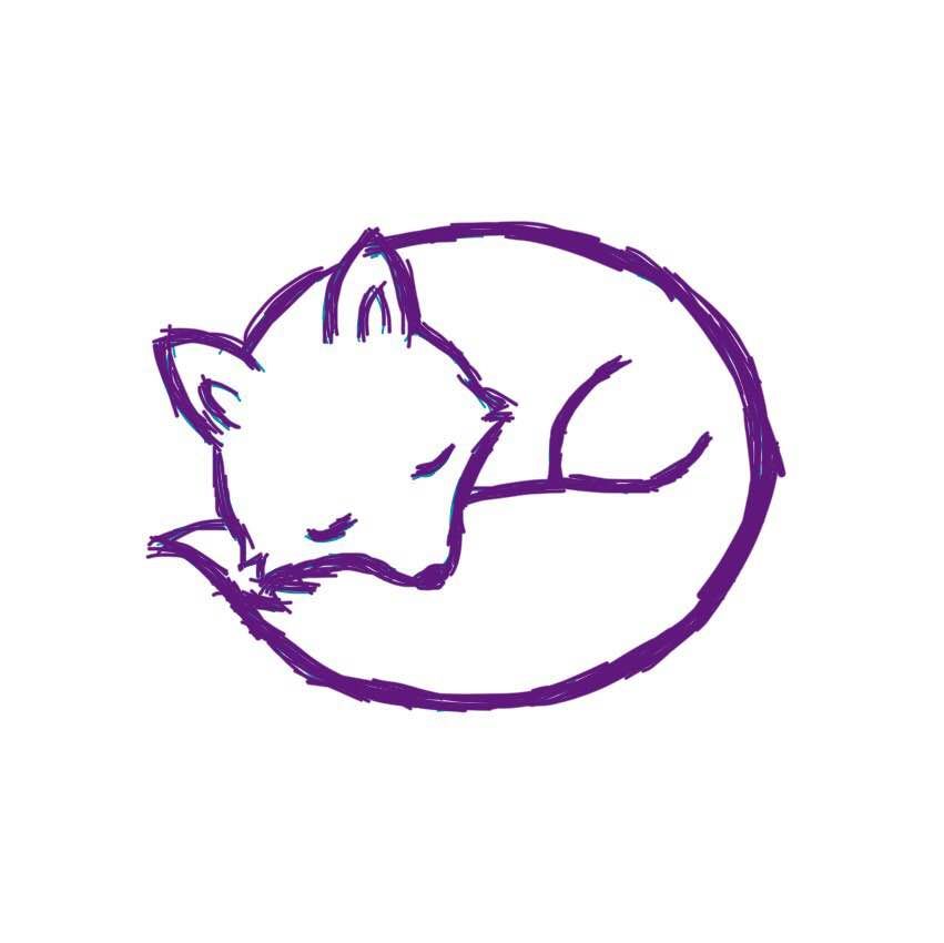 紫狐的小橱窗