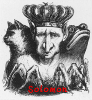 solomon鞋业