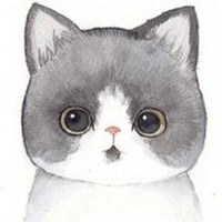 柠檬怡佳