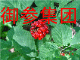 使劲美美