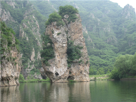 淘淘乐5ing