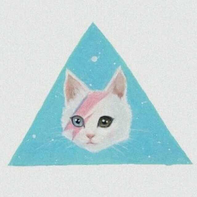 愤怒的小三毛
