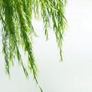 蓝宝儿童装