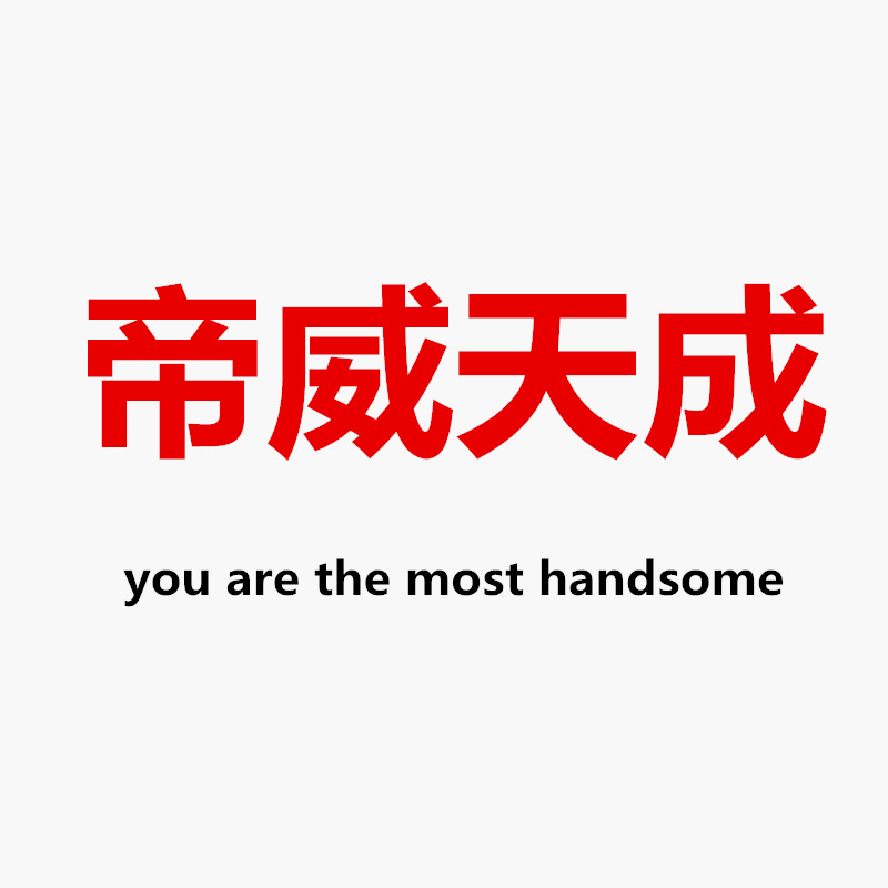 帝威天成服饰