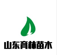 刘杰的领导娟