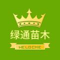 绿通苗木