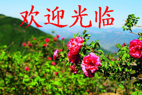 实创小家电