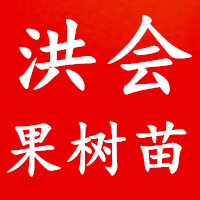 hq酷酷的女孩