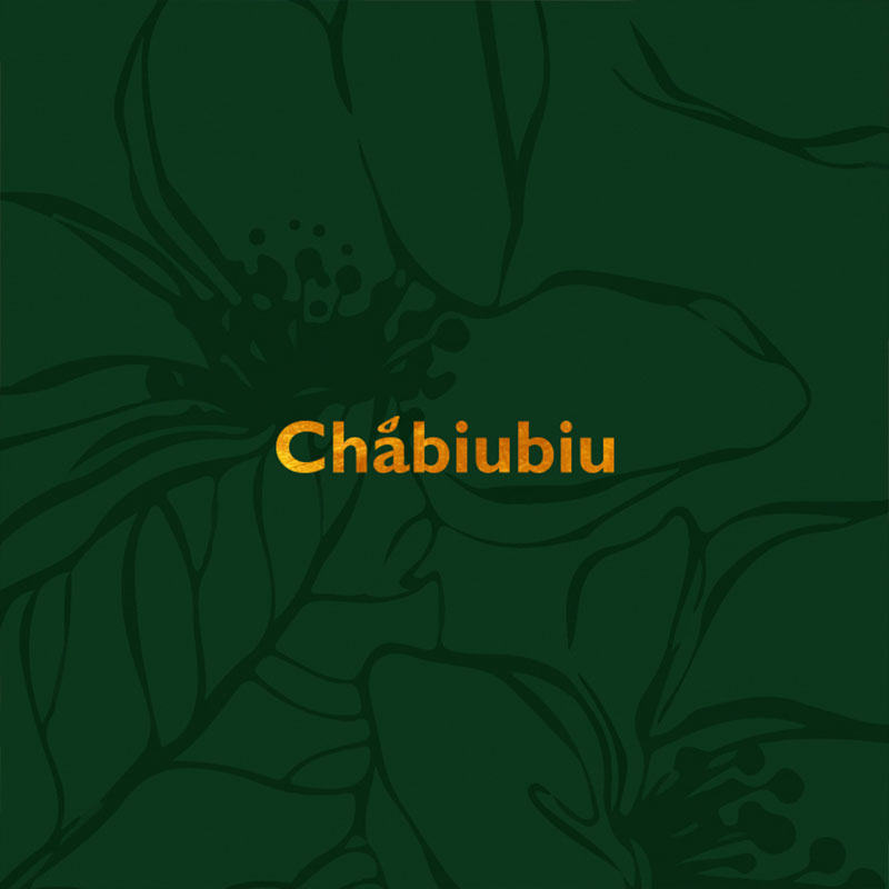 chabiubiu体验店