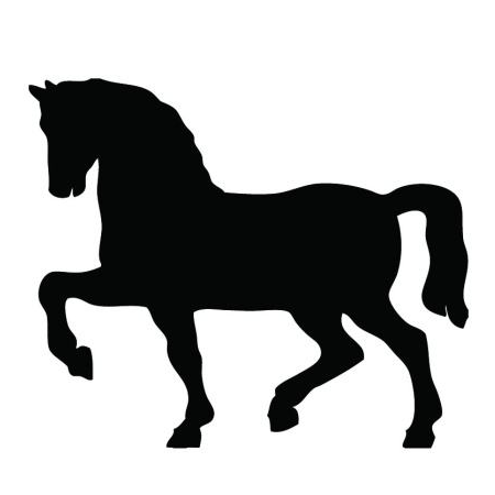 gy0479