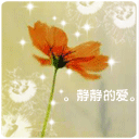 静静66329300