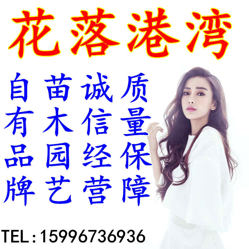 苏绿春园艺店