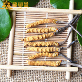 湛蓝的海子