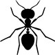 zhd宁