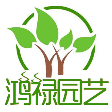 挣钱养家的人1220