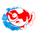 浙江丽水晓锋