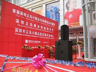 天使与宝贝2008