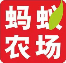 我是一只鱼19910824