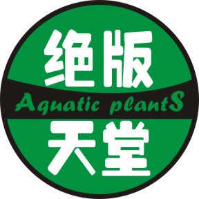 liuying09_2008