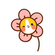 花落谁家我知道