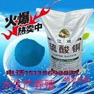 每天美美么么哒