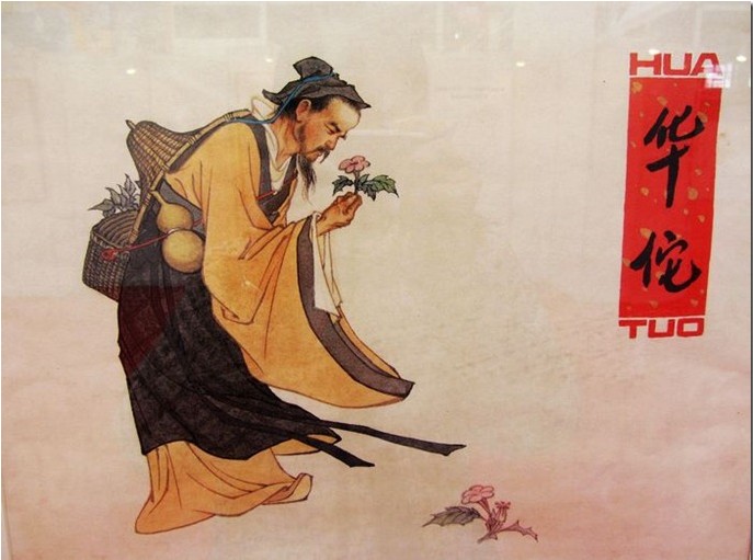 温柔的女汉子sj