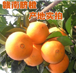 187欧阳庆