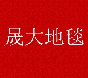 孟凡雨2011