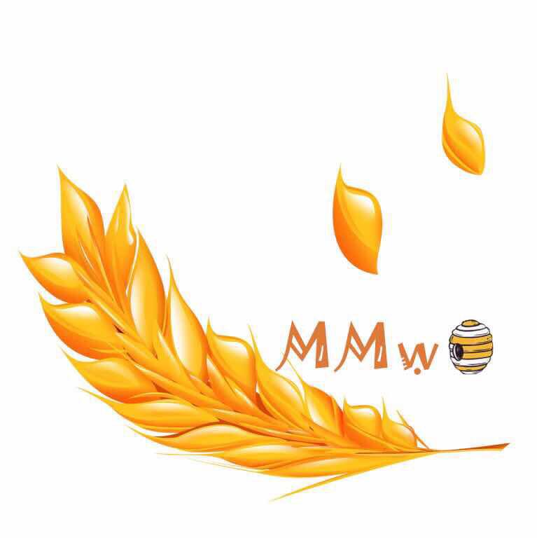 盛圣科技