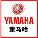 shenhuo8880