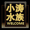 涛宝网0720