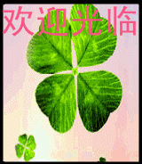 马德旺王莉莉