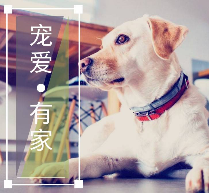 喻星星99