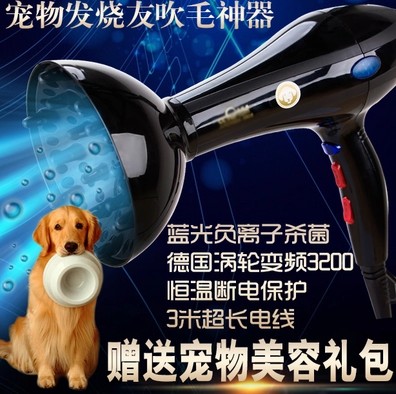 她的猫88