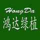 鸿达绿植