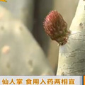 妞妞巾衣家88