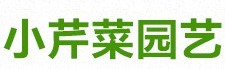 zz小芹菜zz